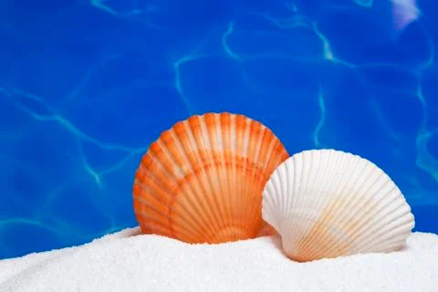 Summer background Stock Photos