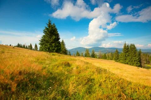 Summer background Foto stock