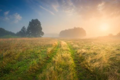 Summer background Stock-Fotos