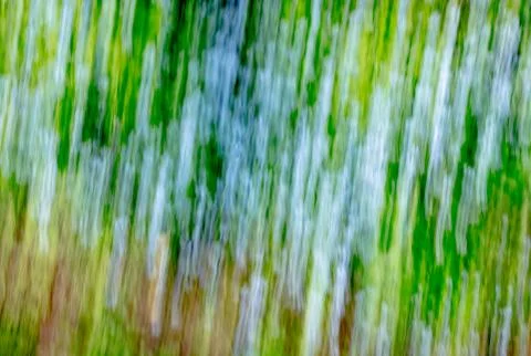 Summer Background Stock Photos