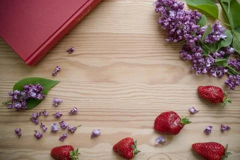 Summer background Foto stock