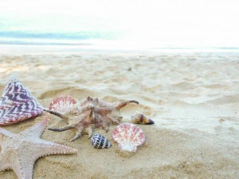 Summer background Stock Photos