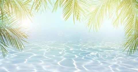 Summer background Фото