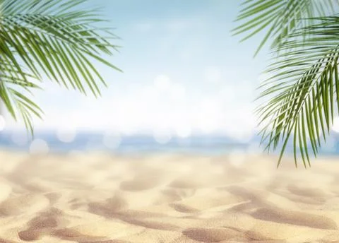 Summer background Фото