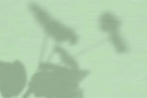 Summer background of plant shadows. The shadow of geranium on a green wall Stock Illustration