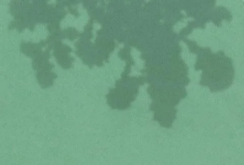 Summer background of plant shadows. Shadow of oak leaves on a green wall. Whi Illustrazione stock