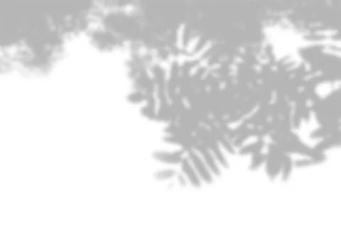 Summer background of plant shadows. Shadow from the leaves of a Rowan branch  Stock Illustration