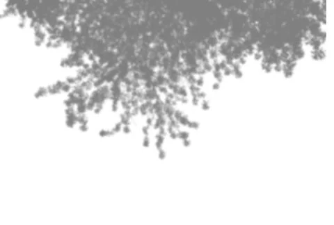 Summer background of plant shadows. Shadow of tree leaves on a white wall. White Stock Illustration