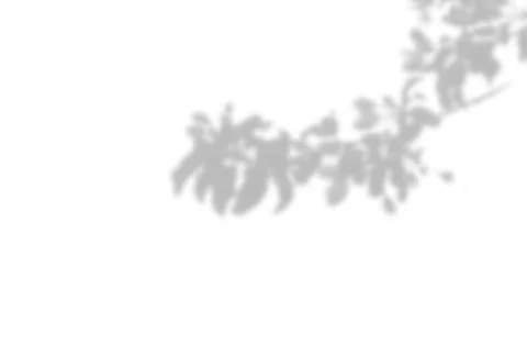 Summer background of plant shadows. Shadow of tree leaves on a white wall. Wh 스톡 일러스트