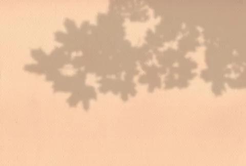 Summer background of plant shadows. Shadow of tree leaves on a orange wall Stock Illustration