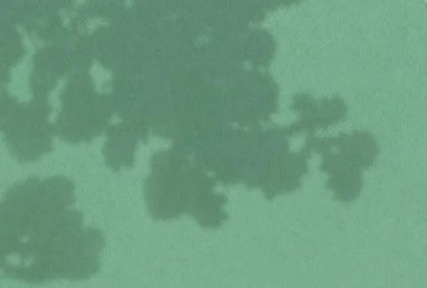 Summer background of plant shadows. Shadow of oak leaves on a green wall. Whi Stock Illustration