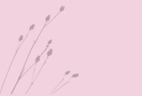 Summer background of plant shadows. Shadow of an exotic plant on a pink wall Stock Illustration