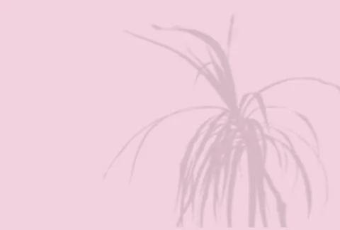 Summer background of plant shadows. Shadow of an exotic plant on a pink wall Stock Illustration