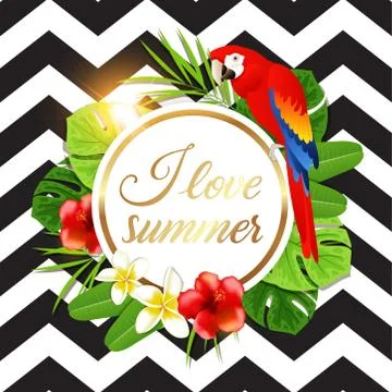 Summer background with red parrot イラスト素材