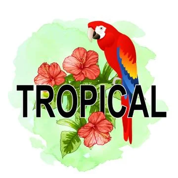 Summer background with red parrot Stock Illustration