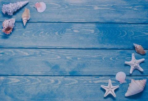 Summer background with sea shells. Foto stock