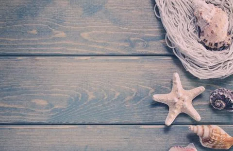 Summer background with sea shells. Foto stock