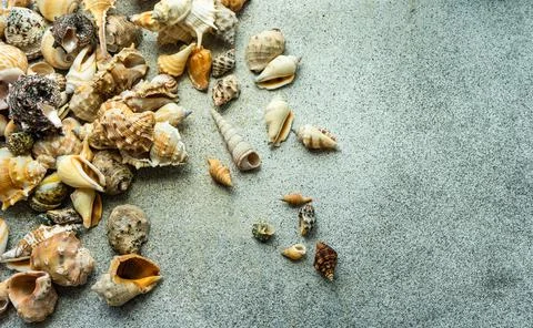Summer background with sea shells Foto stock