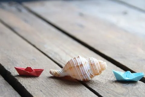 Summer background. Seashell on a wooden background. Stock Photos