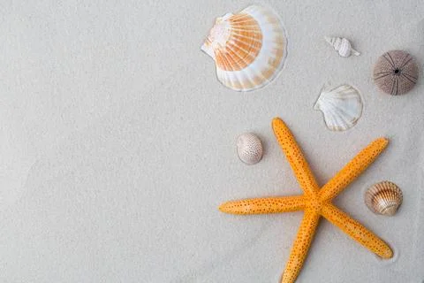 Summer background. seashells border on sand Stock Photos