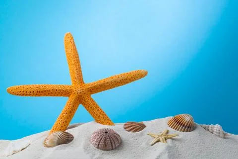 Summer background. seashells border on sand Stock Photos