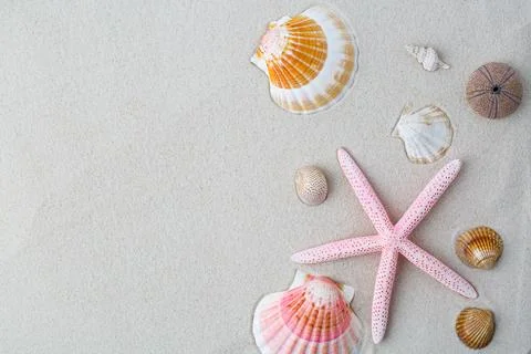 Summer background. seashells border on sand Stock Photos
