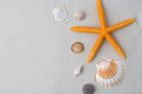 Summer background. seashells border on sand Stock Photos