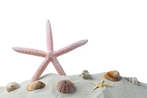 Summer background. seashells border on sand Stock Photos