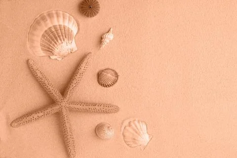 Summer background. seashells border on sand Stock Photos