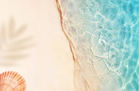 Summer background with shadow palm leaf and shells. Beach texture. Copy space Foto stock