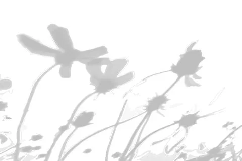 Summer background from the shadow of a sprig of field grass on a white wall Stock Illustration