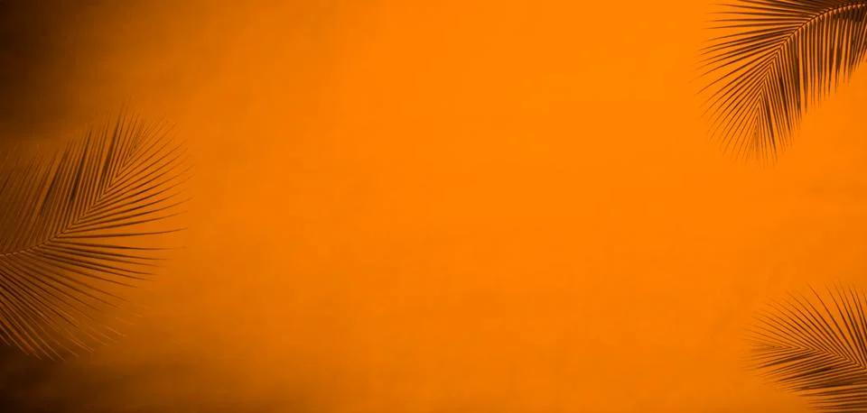 Summer Background Shadow Texture Leaf Palm Summer Autumn Wall Light Stock Photos