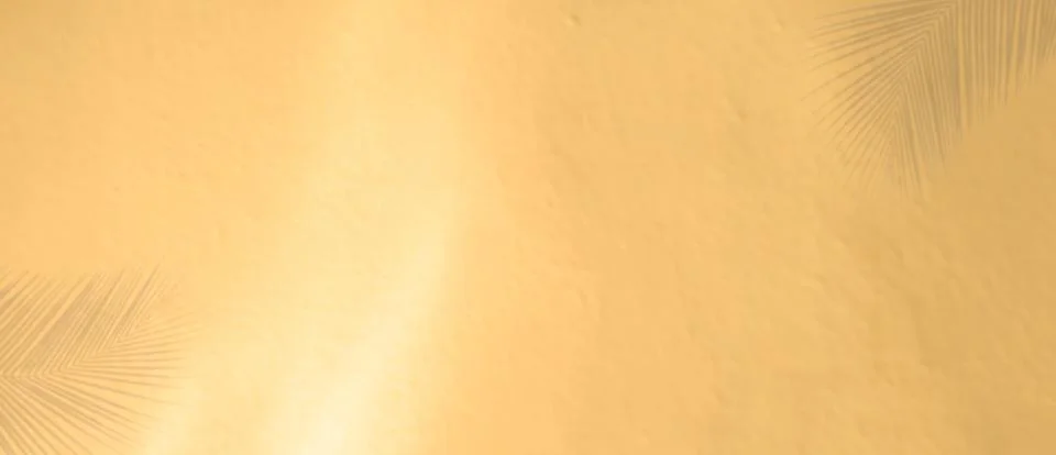 Summer Background Shadow Texture Leaf Palm Summer Autumn Wall Light Stock Photos