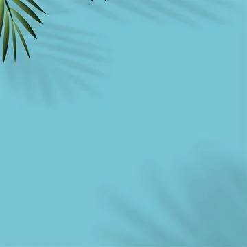 Summer background with shadow of tropical leaves. Vector Stock Illustration
