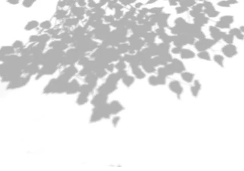 Summer background shadows from the foliage of a tree on a white wall. White and Illustrazione stock