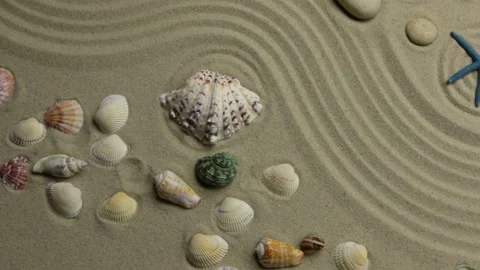 Summer background - shells, stars and stones on zigzag sand. Crane shot. Vídeos de archivo 115939456