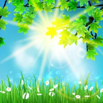 Summer background with sky and grass. Stock Illustration