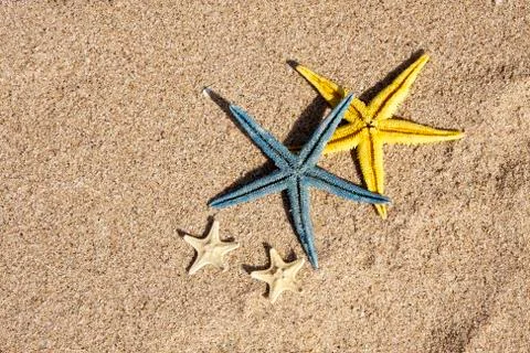 Summer background with starfish Stock Photos