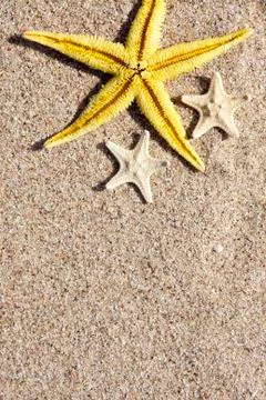 Summer background with starfish Stock Photos