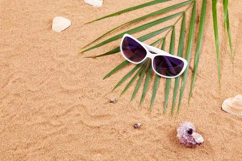 Summer background. Sunglasses, shells and palm leaves on the sand on the beach. Stock Photos