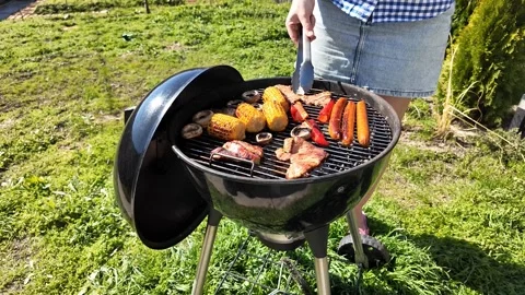 Summer Backyard Barbecue Feast Stock Footage 305273735