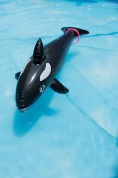 Summer backyard pool with float in blue water Foto stock