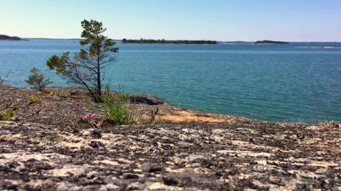 Summer on Baltic Sea Stock Footage 133263029