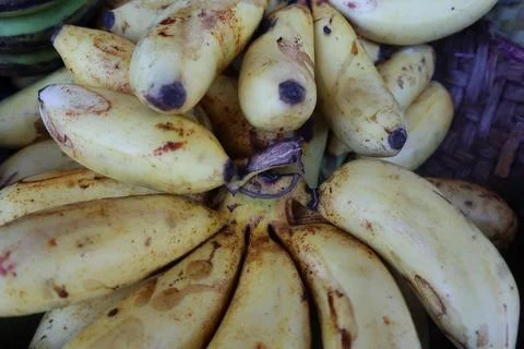 Summer bananas Stock Photos