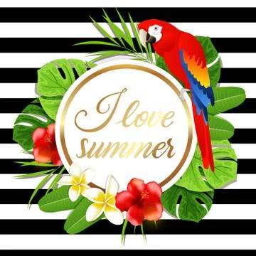 Summer banner with red parrot Stock Illustration
