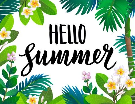 Summer banner template. Stock Illustration
