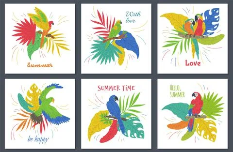 Summer banners and cards bundle with tropical birds and parrots, flat vector. Stockillustratie