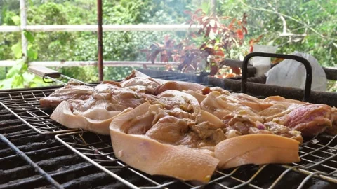 Summer barbecue. Cook a pork meat dish on the grill. There is some smoke during Stock Footage 202491164