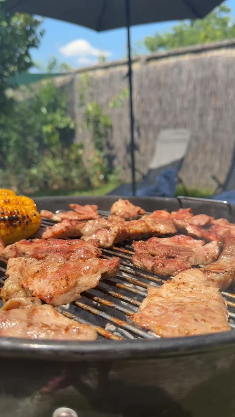 Summer Barbecue Feast Stock Footage 311657594
