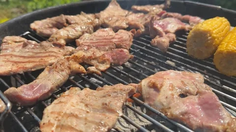 Summer Barbecue Feast Stock Footage 311657752